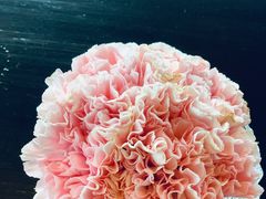 -曼谷大仓新颐酒店