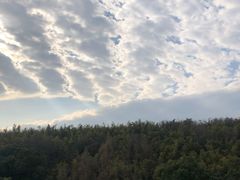 -上海佘山世茂艾美酒店