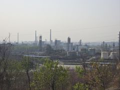 -白水寺森林公园