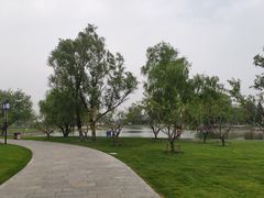 -东郊湿地公园