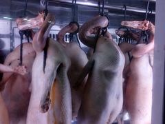 -盛品鲜东莞烧鹅濑粉(杨箕店)