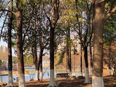 -白塘生态植物园