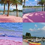 在四川也有海岛   属于四川的【马尔代夫】🏖