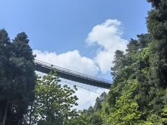 -娄山关景区