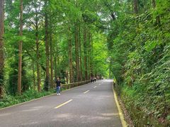 -峨眉山报国寺