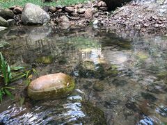 -火炉山森林公园
