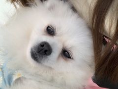 -怪兽屋·羊驼·猫咖·狗咖(俊华广场店)