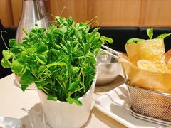 -浩爷羊蝎子火锅(望京店)