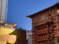 -越秀西湖花市(广州城市广场花卉店)