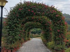 -东莞植物园