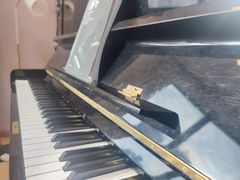 -MusicLife音乐(浦东校区)