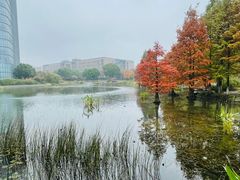 -3W咖啡(国家软件园店)