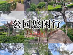 -古榕公园