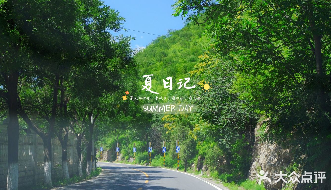 🍃夏日记🍃你爱上温热的空气了吗❓