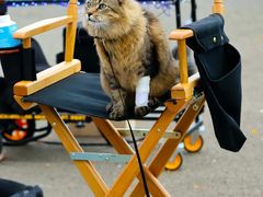 -UME影城(安贞DTS:X店)