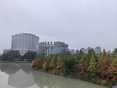 -三垟湿地
