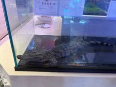 -海韵之星邮轮水会(明发商业广场店)