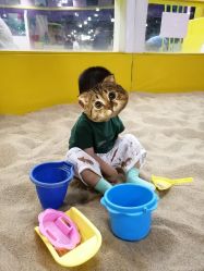 -维佳童话镇演出现场(徐东店)