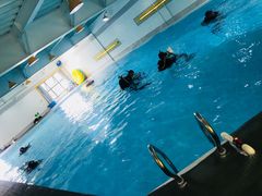 -上海潜殿潜水中心