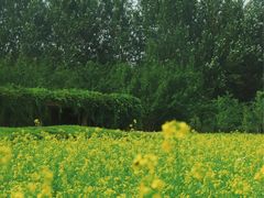 -长春公园(普阳街道)