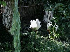 -中国丝绸博物馆