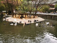 -黔灵山公园