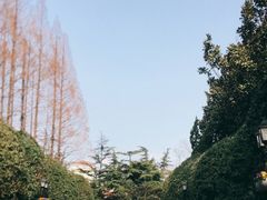 -上海虹桥迎宾馆
