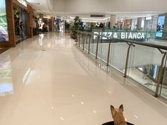 -天津万象城