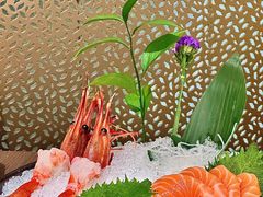 三文鱼赤身-协成海鲜火锅(海洋花园店)