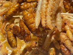 -缘生态云南菜·野生菌庭院餐厅(华侨城店)