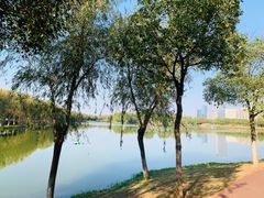 -艾溪湖湿地公园