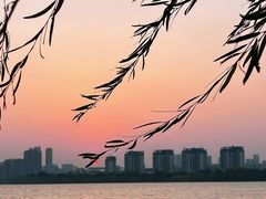 -艾溪湖湿地公园