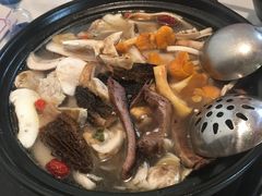 -蘑统田下·野生菌火锅