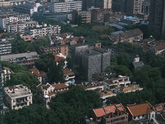 -上海波特曼丽思卡尔顿酒店