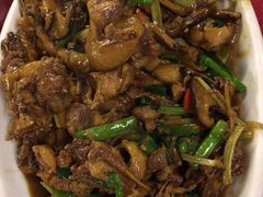 -生态苑农庄(十里画廊遇龙河店)