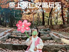 -北京鹫峰国家森林公园