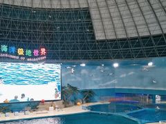 -泉城欧乐堡海洋极地世界