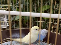 -宠爱我(南山店)