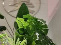 -叶子与茶(苏宁广场店)
