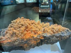 -湖南省地质博物馆