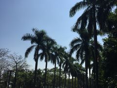 -佛山祈福仙湖酒店