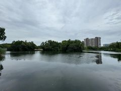-新江湾城公园