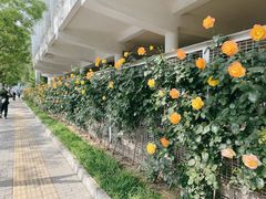 -北京八中游泳馆