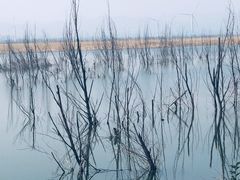 -野鸭湖国家湿地公园