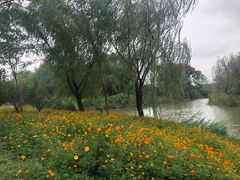 -梁鸿国家湿地公园