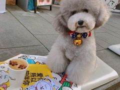 -Seesaw Coffee(上生新所店)