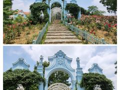 -大塘金香草谷