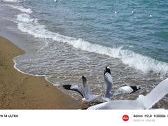 -青海湖二郎剑景区