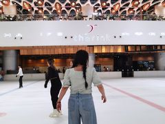 -TheRink大零溜冰场(IFS国金中心店)