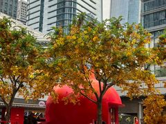 -宝藏绿洲(万象前海店)